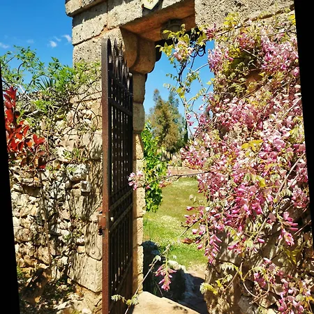 Masseria Borgo Del Gallo Bed & Breakfast