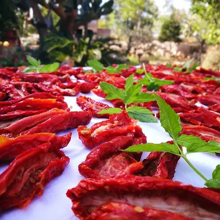 Masseria Borgo Del Gallo 3* Tricase