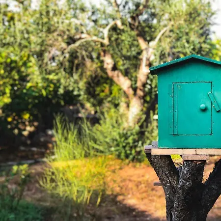 Masseria Borgo Del Gallo