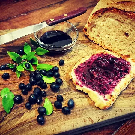 Masseria Borgo Del Gallo 3*