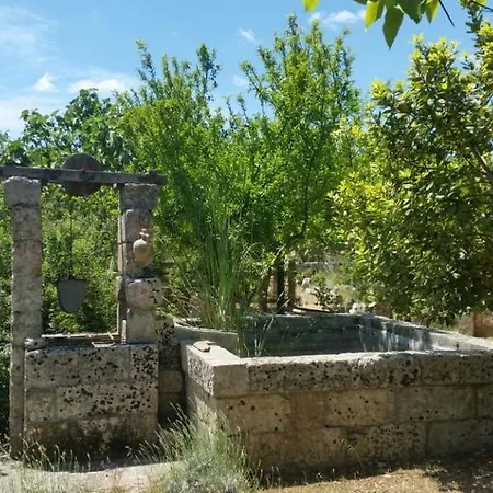 Masseria Borgo Del Gallo לינה וארוחת בוקר טריקאסה