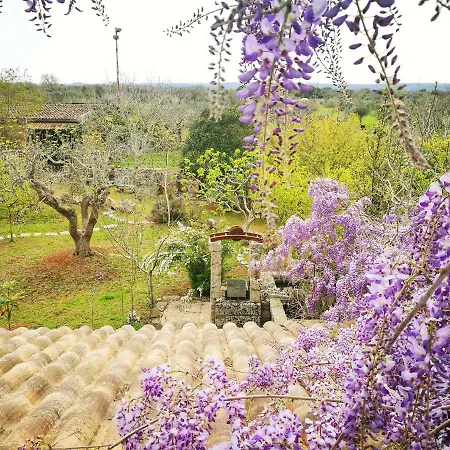 Masseria Borgo Del Gallo Oda ve Kahvaltı Tricase