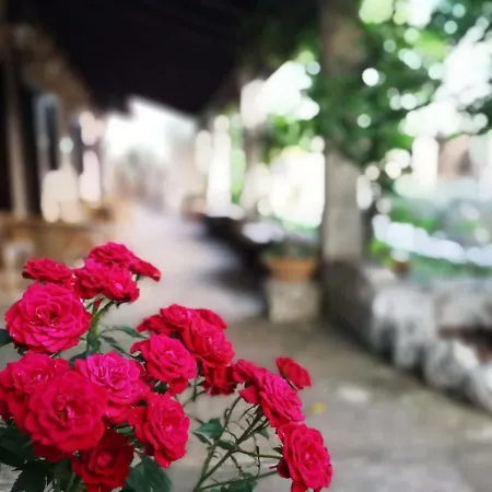 Masseria Borgo Del Gallo Oda ve Kahvaltı Tricase